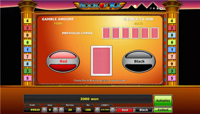 Book of Ra Gamble-Funktion